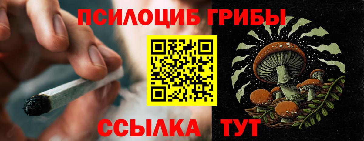 Галлюциногенные грибы MAGIC MUSHROOMS  Галлюциногенные грибы Magic Shrooms  Волжск  Вход с VPN 